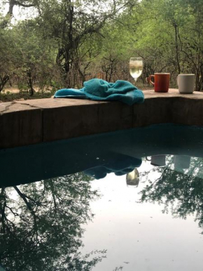 At Kruger's Heartbeat